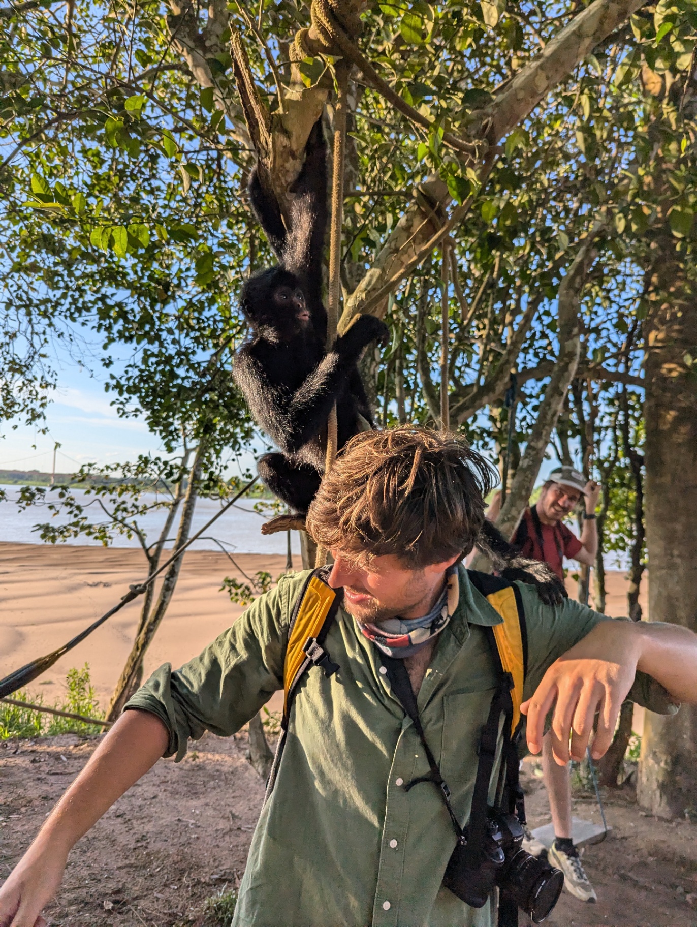Spider monkey klimt over de schouder in de Amazone